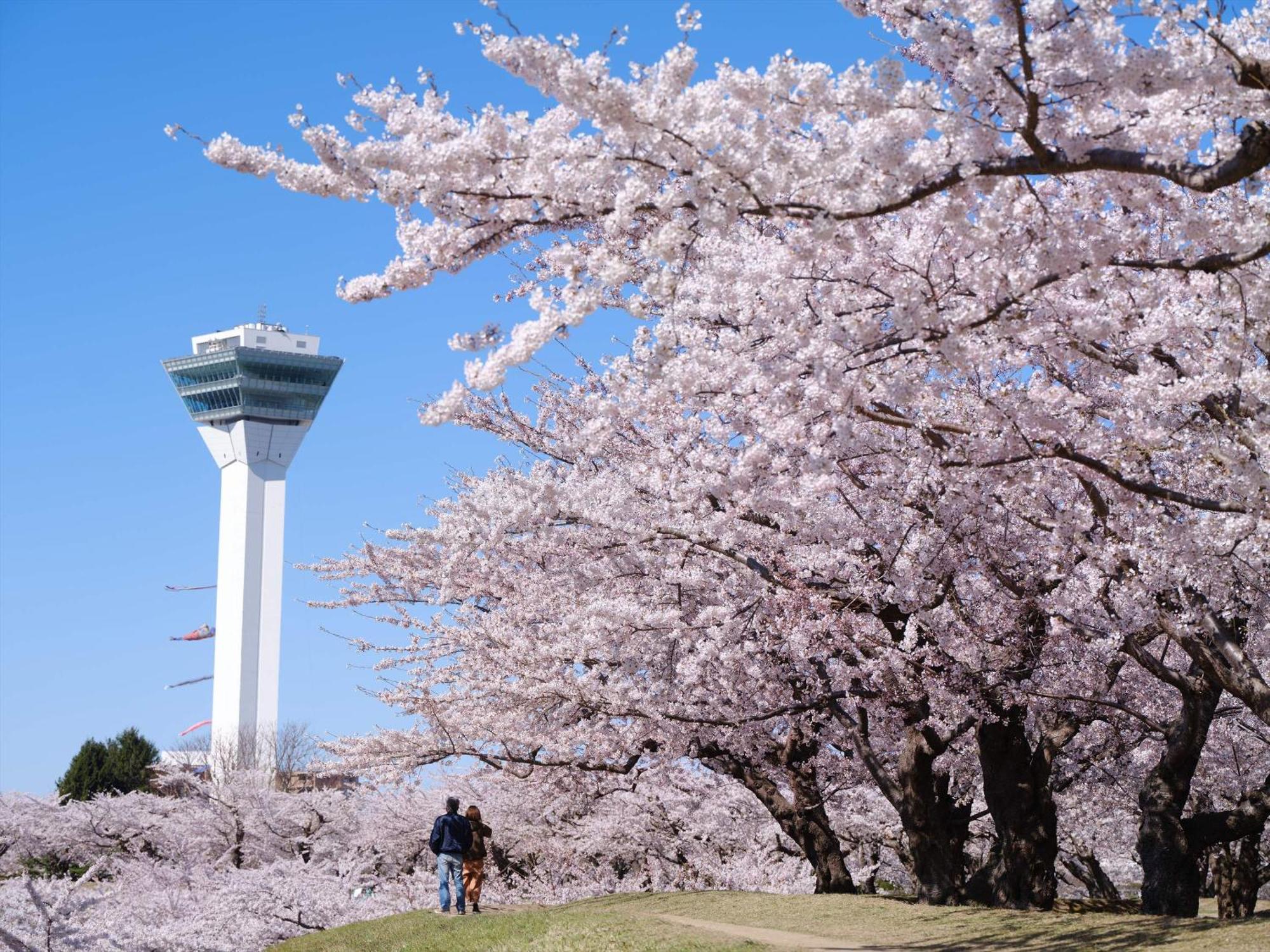 Gran Palette Hakodate Eksteriør bilde